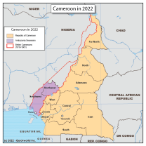 The Cameroon Conflict